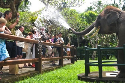 「インドネシアのすごいホテル３選」徹底ガイド 【旅の大事典】